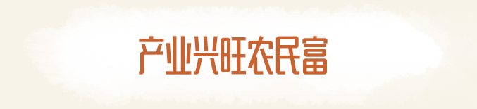 產(chǎn)業(yè)興旺農(nóng)民富